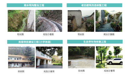 森林養(yǎng)生、戶外探險…高明兩條美麗鄉(xiāng)村啟動建設(shè)_南方plus_南方+