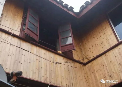 修舊如舊,各部門攜手集思廣益,松江古建筑集體煥發 青春