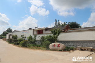 即墨區金口鎮 持續加大民生領域投入,打造幸福宜居鄉村